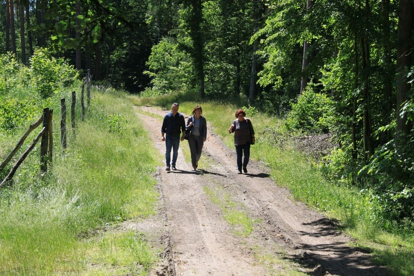 Zawodnicy będą mieli do wyboru 5- lub 10-kilometrową trasę -...