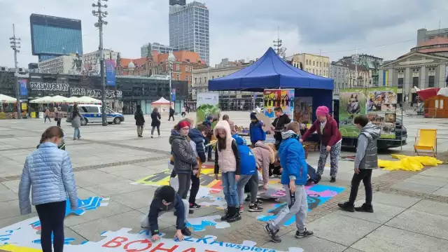 Organizatorzy zbierają od mieszkańców niepotrzebne zabawki, książki, gry, czy puzzle, a następnie organizują kiermasze. Zysk ze sprzedaży jest przekazywany na ratowanie bezdomnych zwierząt.