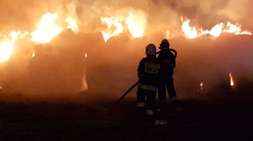 Duży pożar pod Oleśnicą. Z ogniem walczyło kilka jednostek straży pożarnej (ZDJĘCIA) 