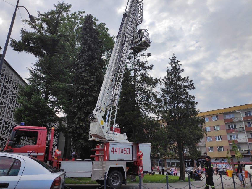 Niecodzienna interwencja Państwowej Straży Pożarnej z Jasła. Do akcji w centrum miasta musieli użyć drabiny [ZDJĘCIA]