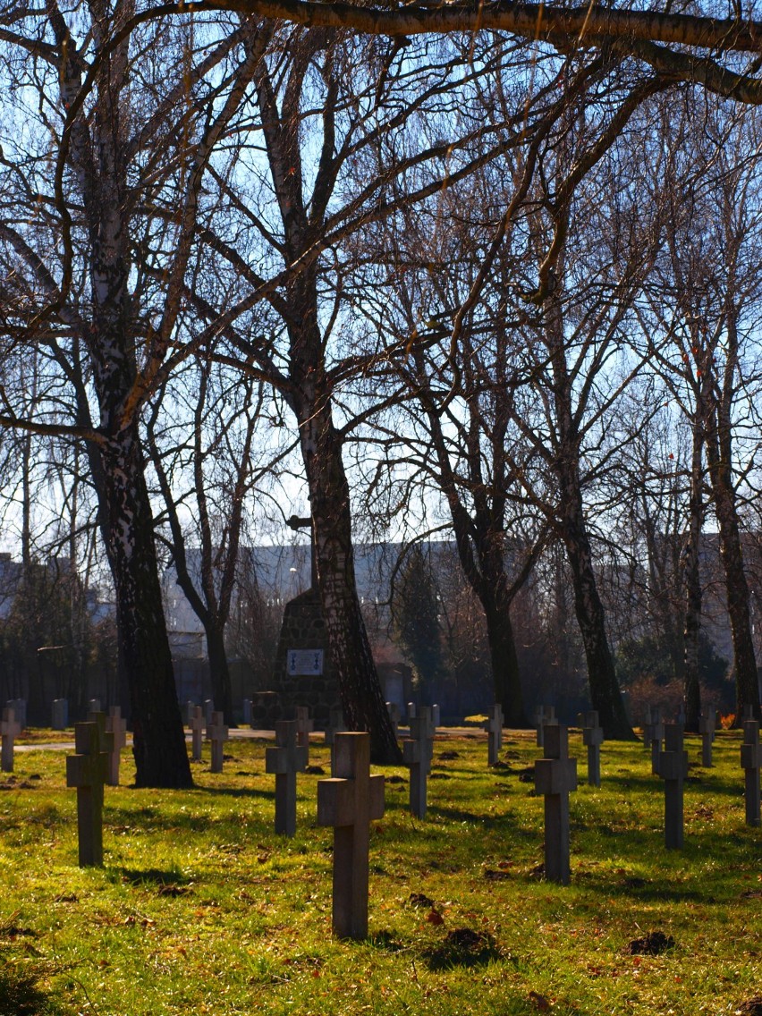 Międzynarodowy cmentarz wojenny