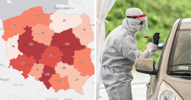 946 nowych przypadków koronawirusa w Polsce, 123 w woj. śląskim odnotowano w piątek, 28 maja 2021 roku. W całym kraju na CoViD-19 zmarło 135 osób, w woj. śląskim - 20. 

Woj. śląskie jest ponownie na pierwszym miejscu w Polsce zarówno pod względem nowych zakażeń, jak i przypadków śmiertelnych.

O tym, jaki jest trend, czy zachorowań jest wciąż więcej a jak tak, to o ile procent - możemy się przekonać, porównując ze sobą wyniki dzisiejszego piątku, z tym sprzed tygodnia.

Porównując dzisiejszy wynik z tym sprzed tygodnia, to mamy spadek nowych zakażeń: w Polsce ok. 44 procent, natomiast w woj. śląskim ok. 39 procent.

W Śląskiem jest wciąż spora liczba zgonów - ubiegłej doby na COVID-19 zmarło 20 osób.

Śląskiem znów na pierwszym miejscu

Najwięcej nowych zakażeń jest w woj. śląskim - 123, woj. mazowieckie jest na drugim miejscu - 113, natomiast tuż za nim jest woj. wielkopolskie - 110.

Liczba osób na kwarantannie w woj. śląskim to 7 200. Liczba wykonanych testów - 5 822, w tym z wynikiem pozytywnym - 152.

Gdzie w woj. śląskim nowych zakażeń jest wciąż dużo, a gdzie liczba ta już znacznie spadła? Sprawdź. Kliknij w następne zdjęcie >>>

