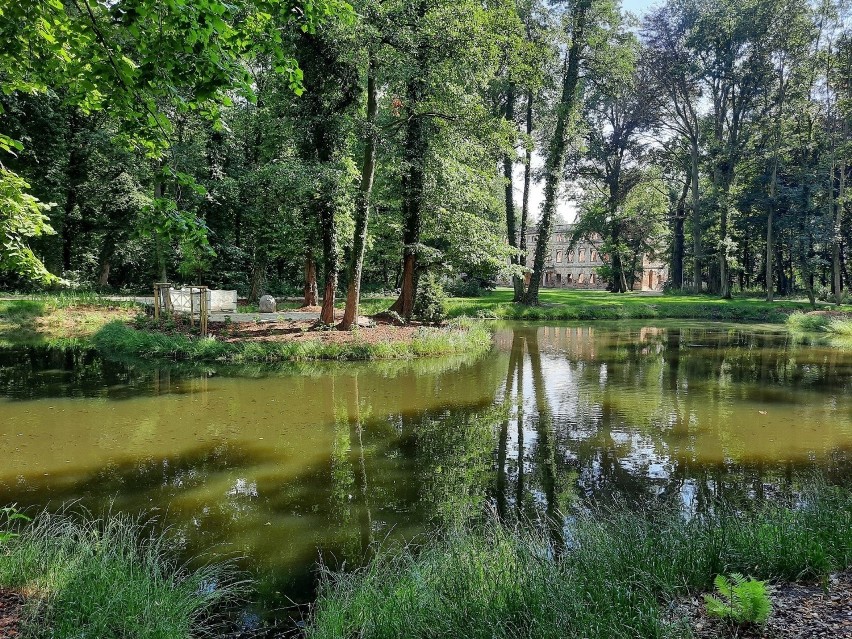 Park w Zielonej Górze Zatoniu. 

Prawdziwa perełka. Teren...