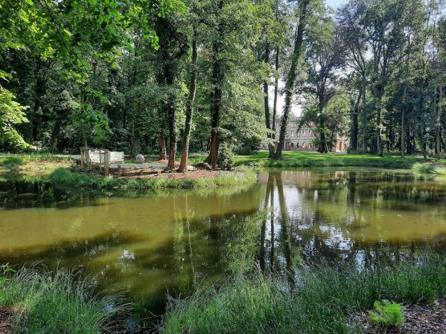 Park w Zielonej Górze Zatoniu. 

Prawdziwa perełka. Teren ciągle się zmienia. Ostatnio pojawiła się nowa altana, odnowiono dawną oranżerię. Można szukać chłodu w dawnych murach pałacu lub przejść się po terenach zielonych, by na końcu przycupnąć nad wodą lub w cieniu wiekowego drzewa. Park przepięknie odnowiono, bez problemu dojedziemy tu autem lub wygodnymi ścieżkami rowerowymi.