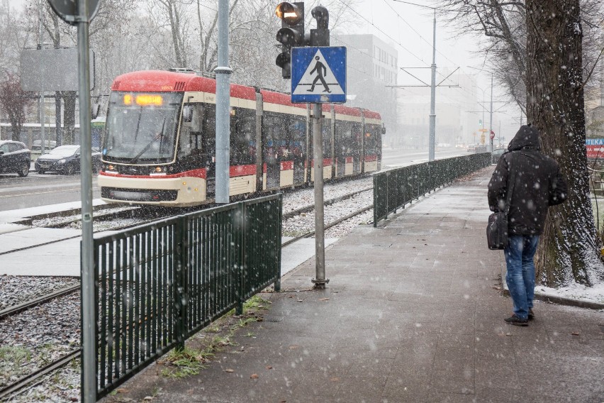 Pierwszy śnieg w Gdańsku zapowiada rychłą zimę? Czekamy na Wasze zdjęcia [galeria]