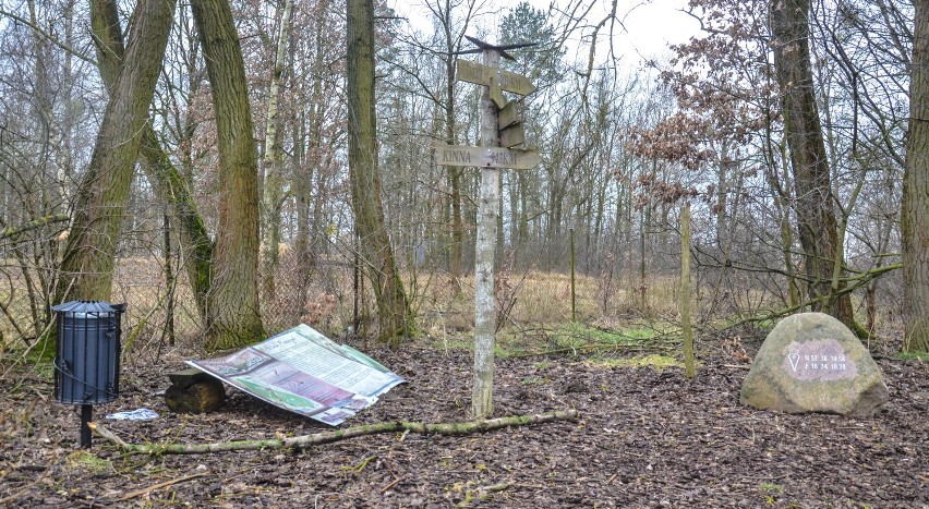 Jak wygląda ścieżka na Pioszczychach? [ZDJĘCIA]