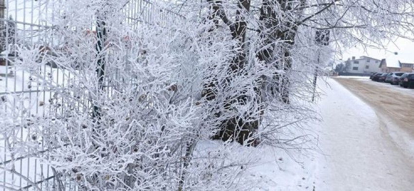 Zima obiektywem naszego Czytelnika Mariana Wnuk-Lipińskiego