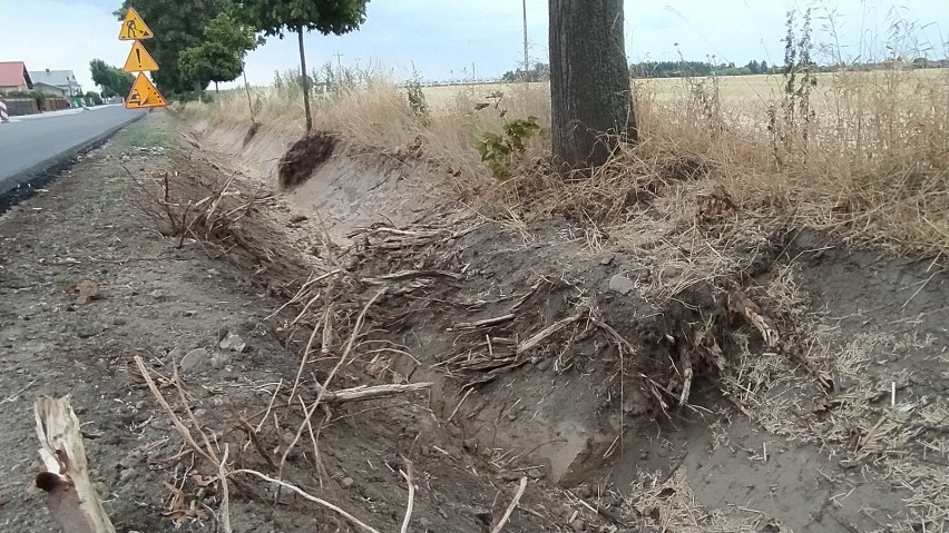 Mieszkańcy alarmują: podczas remontu Mórkowskiej w Wilkowicach uszkodzono korzenie drzew ZDJĘCIA