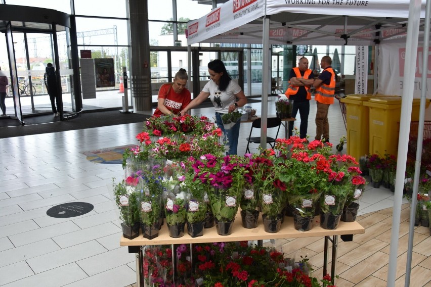 Drugi dzień akcji "Elektrośmieci oddajesz - kwiatki dostajesz" w Centrum Handlowym Forum Gliwice