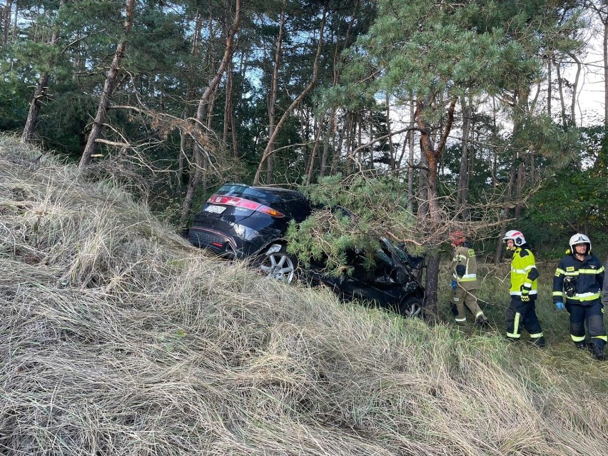 Do dachowania w Makowiskach na trasie Bydgoszcz - Solec...