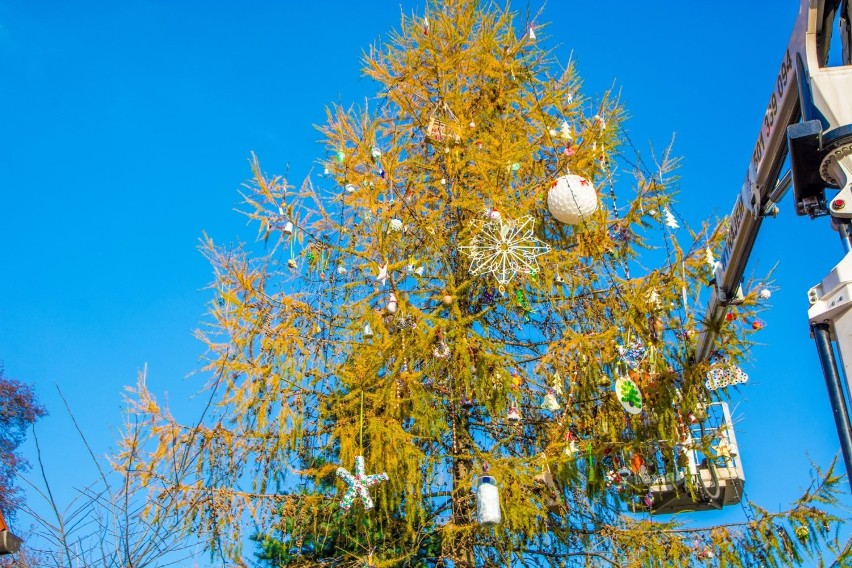 Rumia. Pod MDK pojawiło się udekorowane drzewko świąteczne| ZDJĘCIA