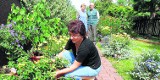 Chełm Śląski: Poznajcie wyjątkowy ogród i kolekcję roślin Anny Bołdys [ZDJĘCIA]