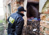 Mieszkanka powiatu wodzisławskiego pomogła ocalić 72-latka. W porę zadzwoniła po służby