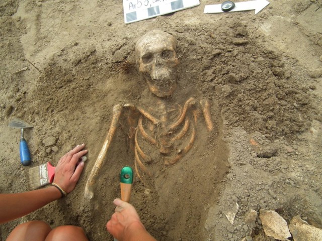 Wykopaliska w Poznaniu - Archeolodzy znaleźli już ponad 200 szkieletów Za Bramką