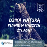 Niedźwiedź bohaterem kampanii Tatrzańskiego Parku Narodowego [WIDEO]