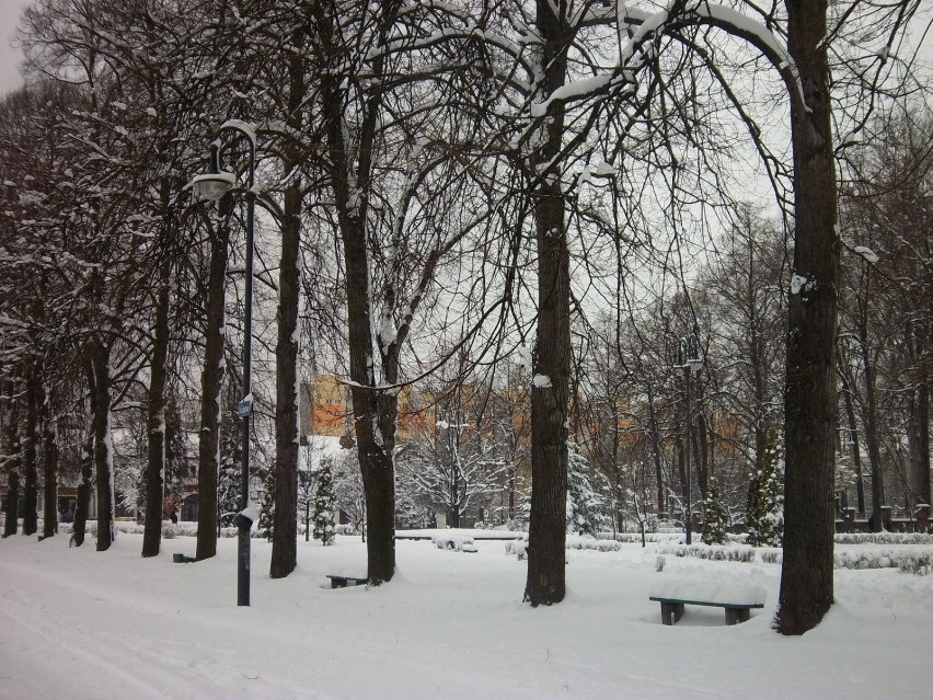 Plac pod Lipami zasypany śniegiem. Fot. Ewa Palusińska