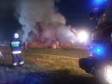 Pożar balotów słomy w Panoszowie w gm. Ciasna. Na miejscu pracowało 12 zastępów straży pożarnej