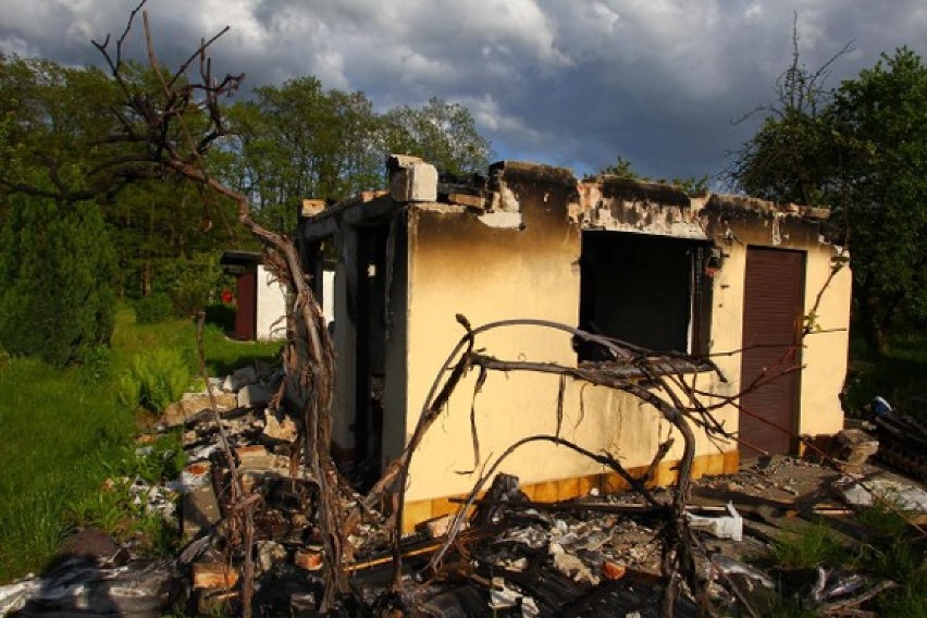 Dziś część ROD im. 23 Lutego przypomina ruinę. Złodzieje...