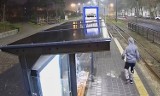 Grudziądz. Kamieniem rozbił szybę wiaty przystanku tramwajów MZK Grudziądz. Poszukuje go policja. Zobacz zdjęcia