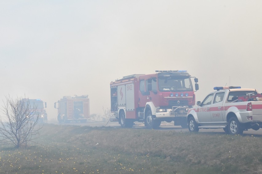 Kolejny pożar nieużytków przy S8! Do akcji ściągnięto samolot gaśniczy (NOWE ZDJĘCIA) (AKTUALIZACJA)      
