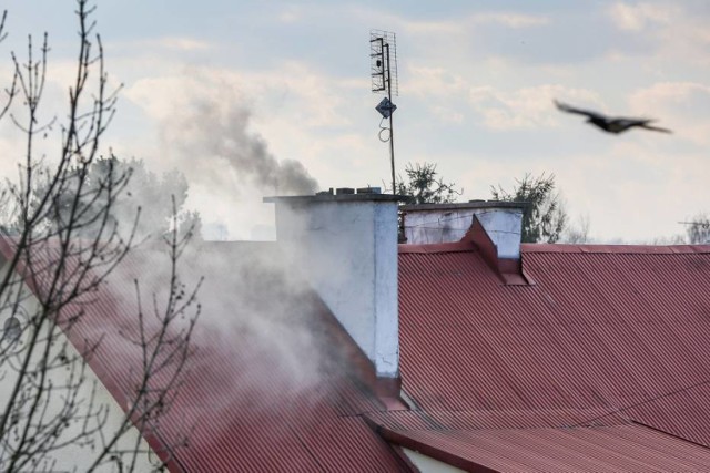 Przypomnijmy, że znaczne przekroczenia norm pyłu zawieszonego w powietrzu są głównie efektem palenia w piecach paliwami niskiej jakości - m.in. miałem węglowym czy śmieciami.