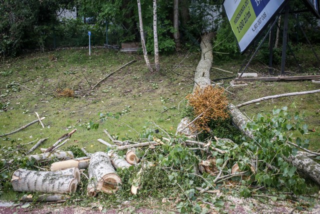 Oberwanie chmury powodowało liczne podtopienia piwnic i ulic. Region dotknęła też wichura. Wiatr łamał i przewracał drzewa, powodując zagrożenie dla zdrowia przechodniów, ale i duże straty.