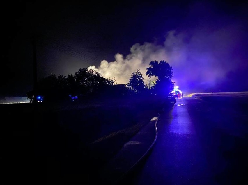 Pożar obory w powiecie aleksandrowskim. W budynku było kilkadziesiąt zwierząt [zdjęcia]