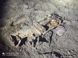 Pociski moździerzowe znalezione na plaży przy Pilicy w Sulejowie ZDJĘCIA