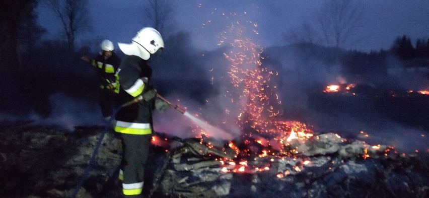 Pożar na Chełmcu w Wałbrzychu. Strażacy i turyści bronili...