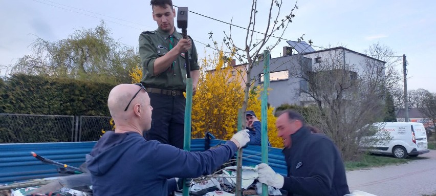 Zazieleniają Lubliniec z okazji 750-lecia miasta