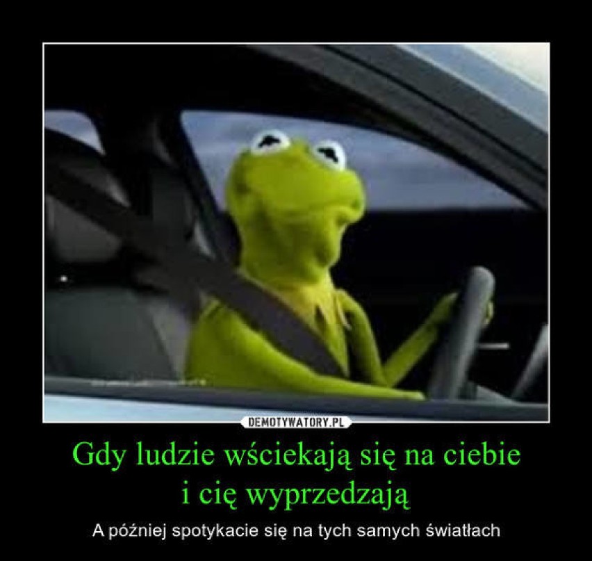 Dzień Bezpiecznego Kierowcy. Zobaczcie najśmieszniejsze...