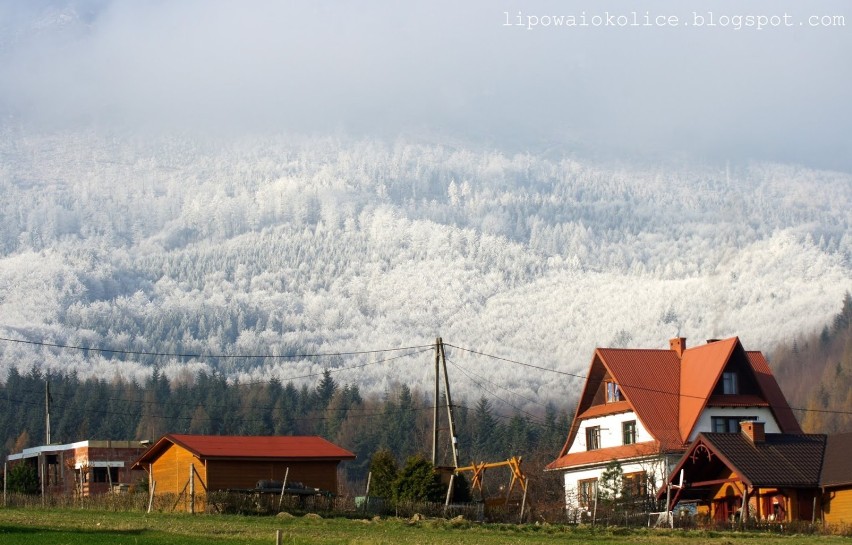 Śnieg w górach. W Beskidach pięknie! Zobacz ile jest śniegu. GOPR ostrzega [ZDJĘCIA]