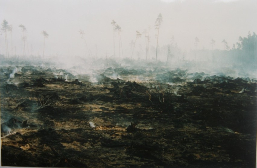 Największy pożar lasu w Europie. Pamiętacie 1992 rok?