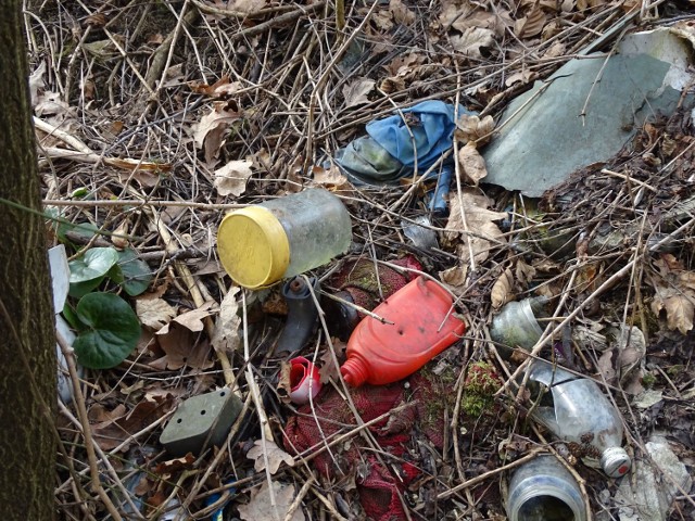 Urząd Gminy w Tarnowcu natychmiast zareagował na zgłoszenie mieszkańca o dzikim wysypisku. Wywieziono kilkanaście worów z odpadami. To się chwali!