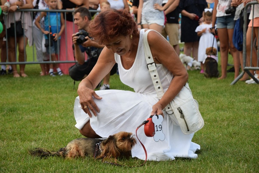 Dni Kraśnika 2018. Na wystawie "Mój Pupil" wszystkie psy były wyjątkowe (ZDJĘCIA)