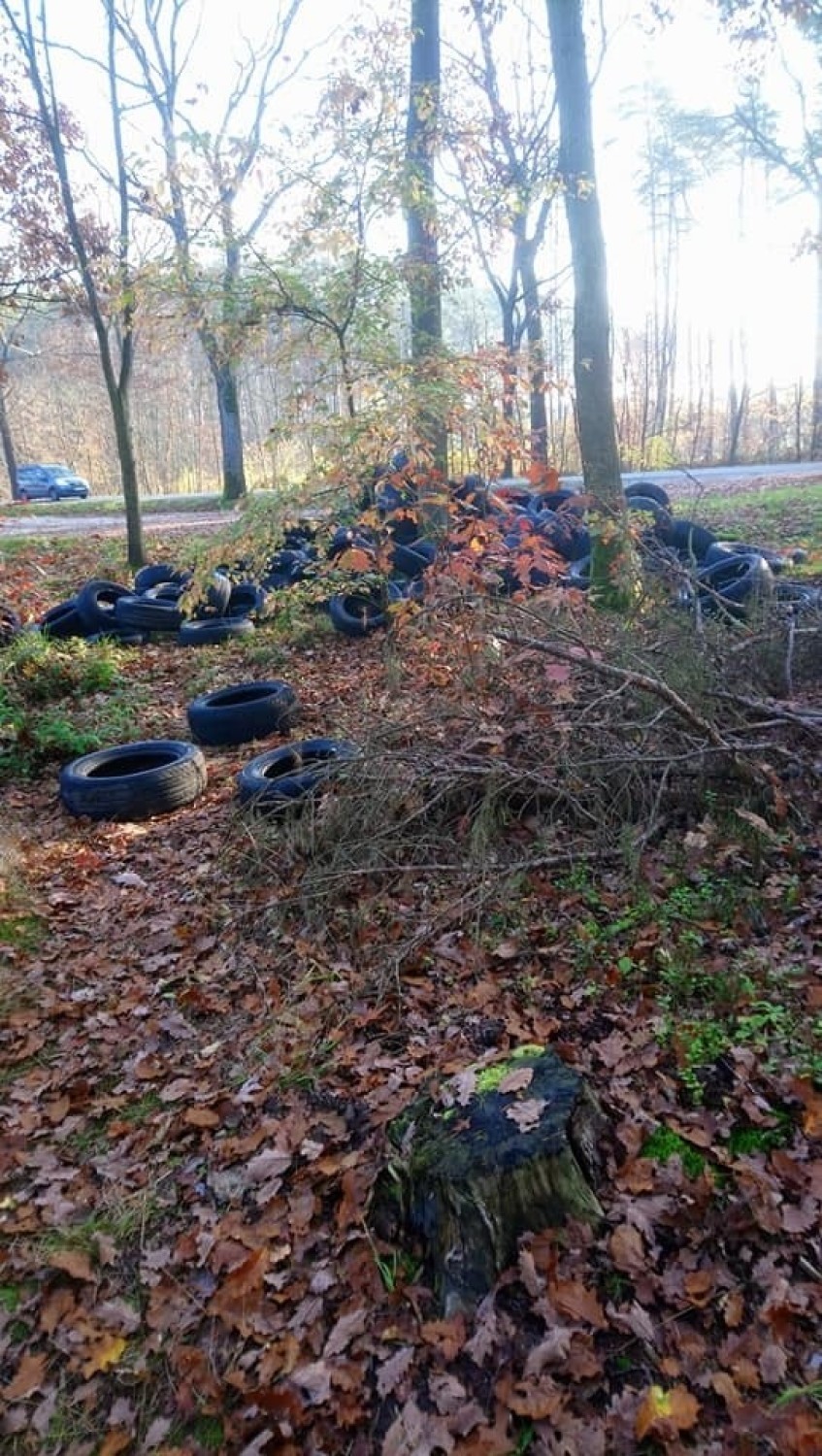 150 zużytych opon samochodowych wyrzuconych do lasu pod Opolem! 