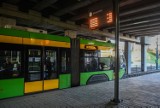 Autobusy i tramwaje za darmo w Poznaniu! Jaki warunek trzeba spełnić, żeby skorzystać z bezpłatnych przejazdów?