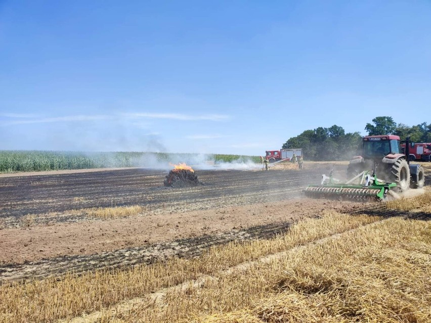 Pożar na polu w gminie Łasin. Walczyły z nim trzy zastępy...