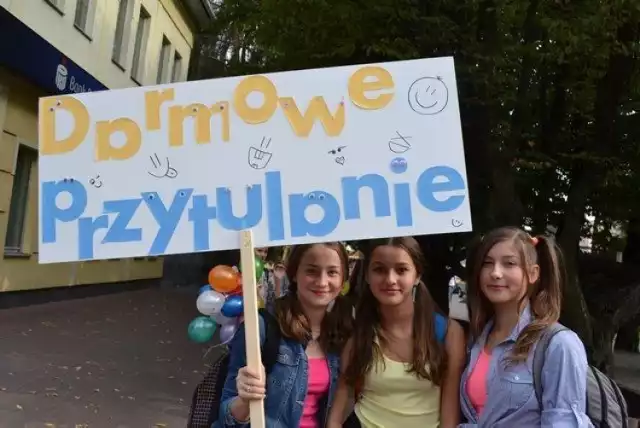 Dzień uśmiechu 2015 w Radomsku w wykonaniu SKE Młodzież dla Europy. Fot. T.M.