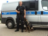 Iryd - nowy pies w policji 
