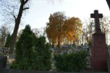 Kwesta na cmentarzu w Koninie przy ul. Kolskiej [ZDJĘCIA]