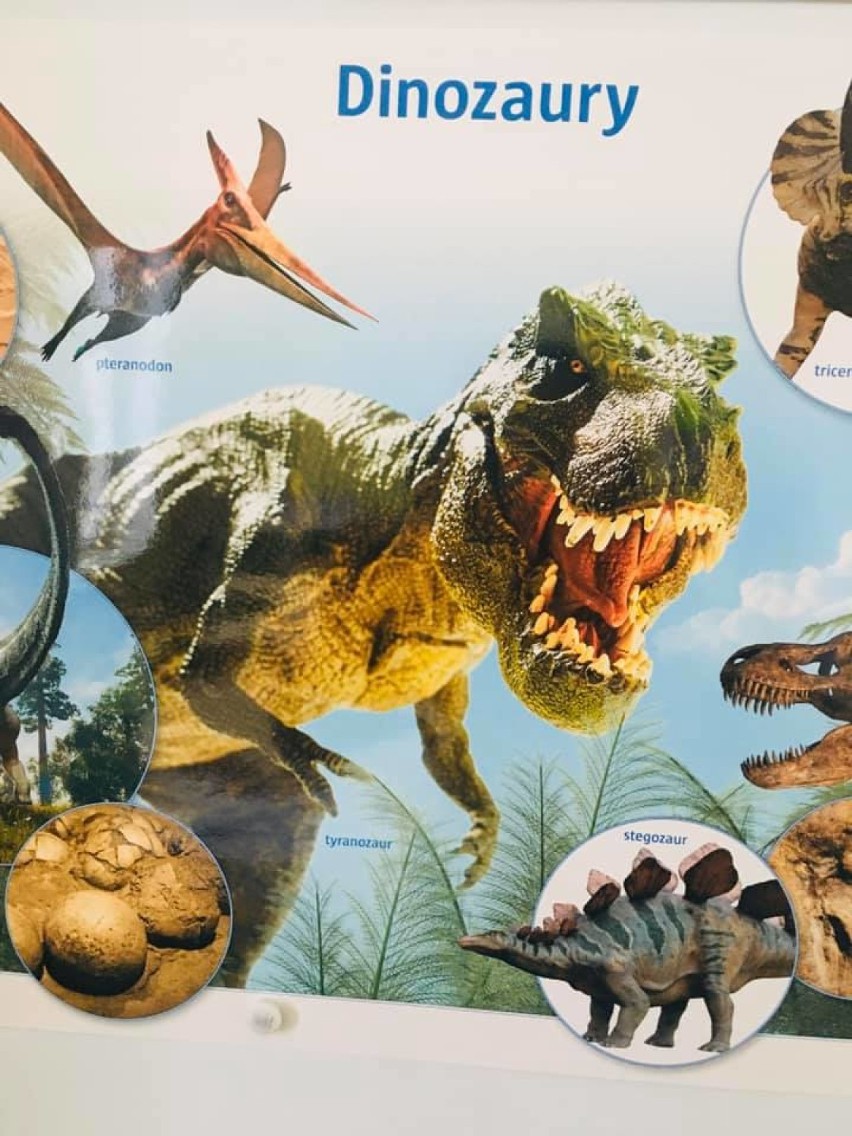 Stefanowo: Dzień niezwykłych stworzeń – dinozaurów - 26 lutego 2020 [Zdjęcia]