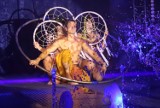 W Radomiu na Borkach można podziwiać popisy artystów z cyrku Waterland. Zobaczcie niesamowite pokazy