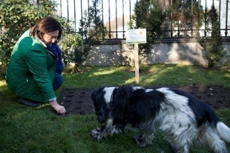 Anna Komorowska sadziła &quot;Pola Nadziei&quot; w ogrodach Belwederu