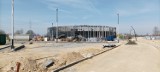 Budowa stadionu w Sosnowcu już na finiszu - ZDJĘCIA. Kiełkuje trawa i trwa montaż oświetlenia Kiedy mecz otwarcia?