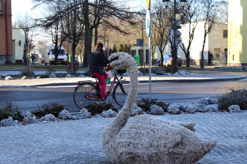 Zbąszyń w obiektywie, czyli ulicami miasta - 31 grudnia 2016 r.