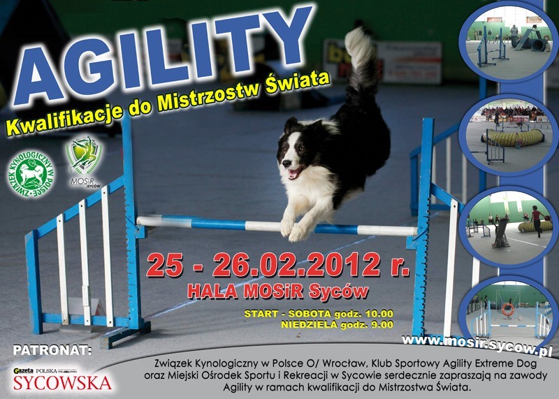 Syców: Zapraszamy na widowisko agility