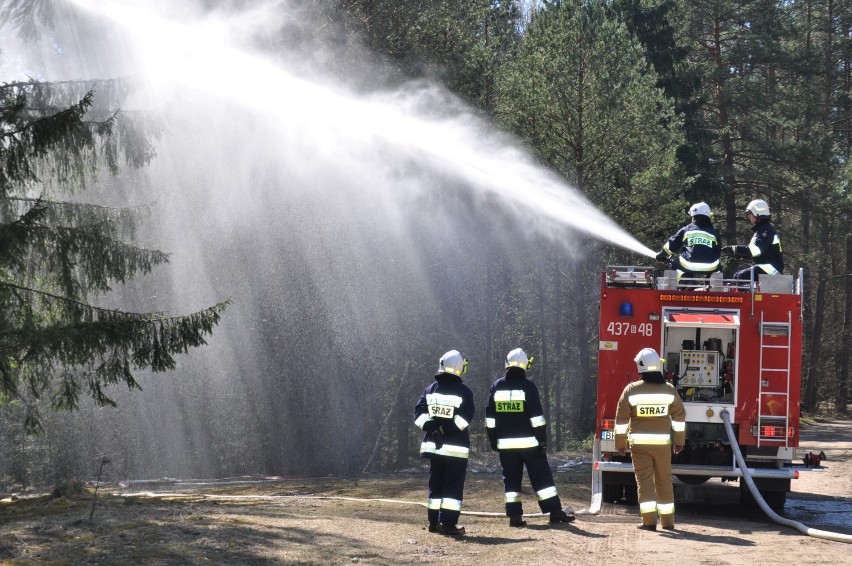 Gaszenie pożaru w Puszczy Białowieskiej  to tylko ćwiczenia