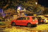 Wtorkowa wichura powaliła duże drzewo, które spadło na samochody w centrum Stalowej Woli