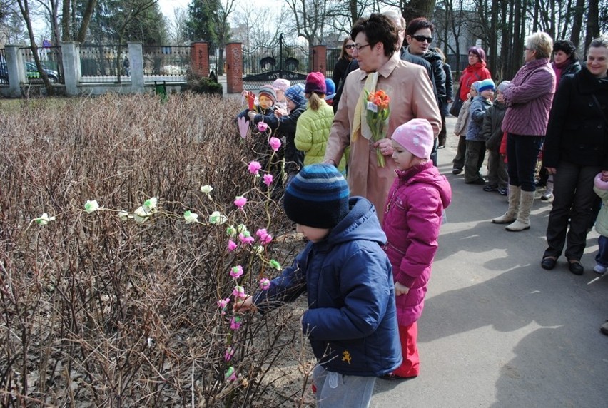 Przedszkolaki powitały wiosnę w Koninie